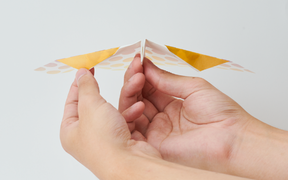 Dreams Papillon Origami Airplane Toy